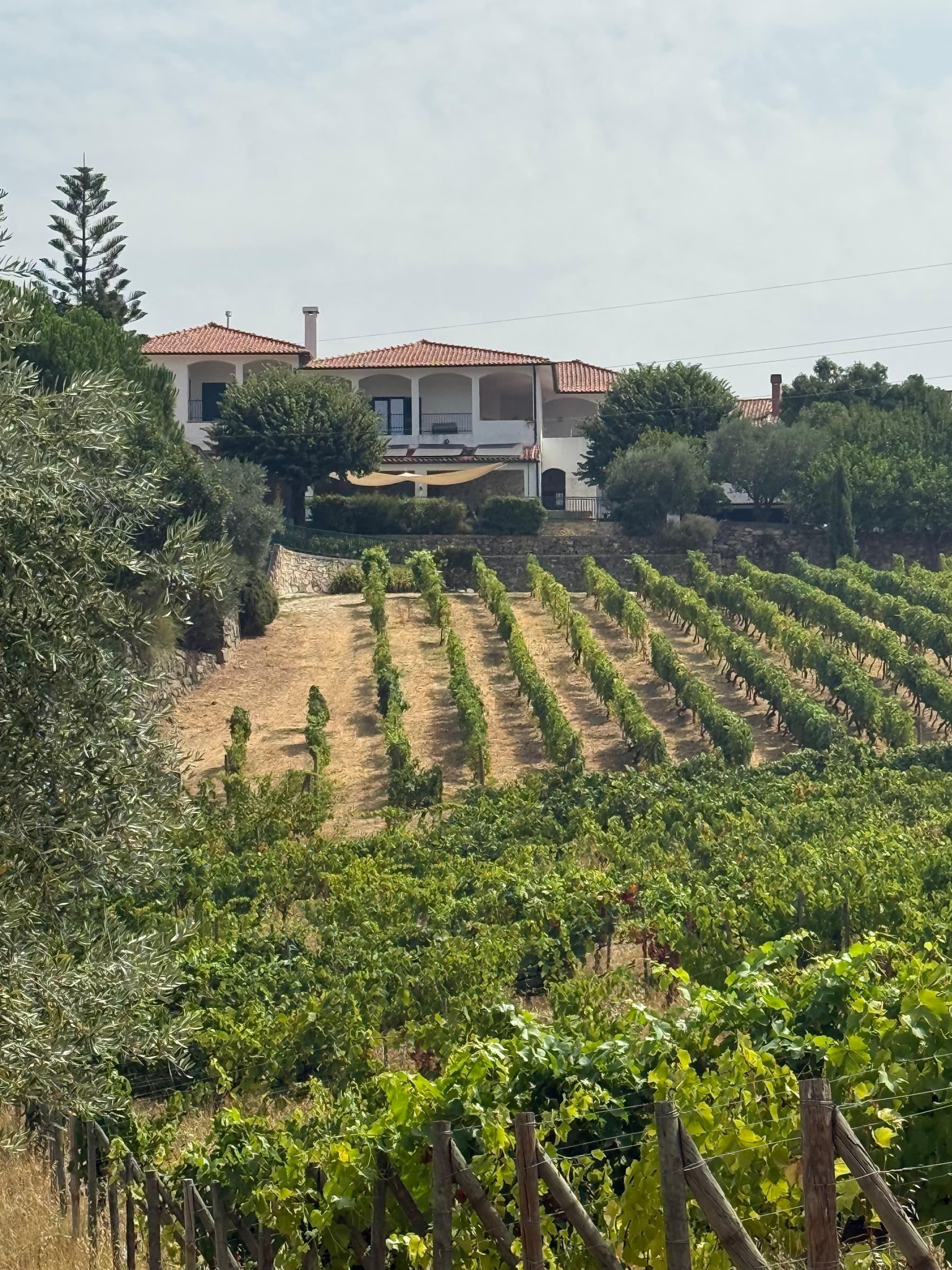 Historic Quinta dos Novais estate